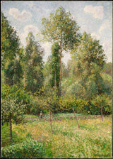 camille-pissarro-1895-cây dương-eragny-nghệ thuật-in-mỹ-nghệ-sinh sản-tường-nghệ thuật-id-atod6ciak