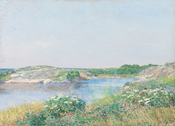 childe-hassam-1895-the-little-pond-appledore-art-print-fine-art-reproduction-wall-art-id-atyz91xkm