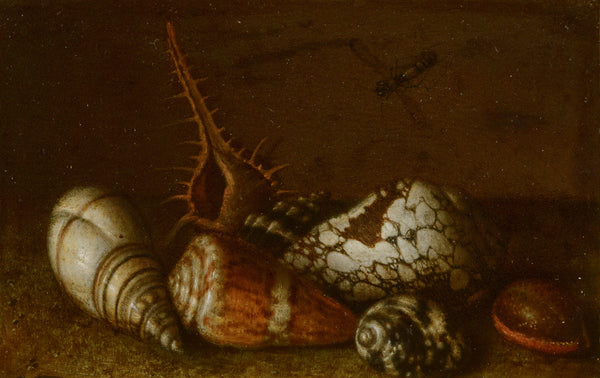 balthasar-van-der-ast-shells-on-a-table-art-print-fine-art-reproduction-wall-art-id-au581bvwi