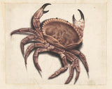 unknown-1560-zeekrab-art-print-fine-art-reproduction-wall-art-id-au7f8lmwq