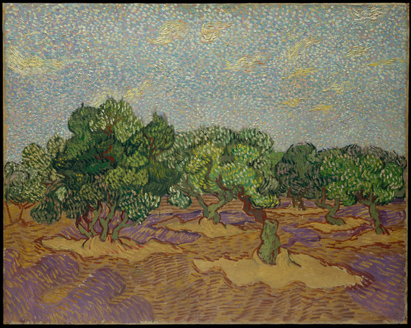 vincent-van-gogh-1889-olive-trees-art-print-fine-art-reproduction-wall-art-id-auae9xch6
