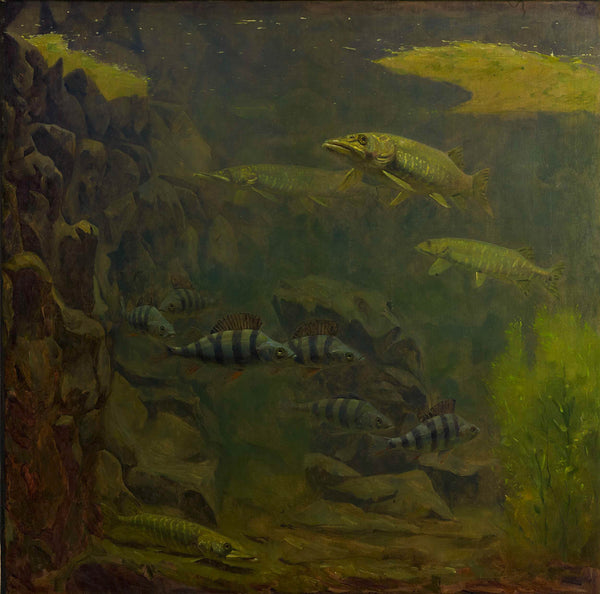 gerrit-willem-dijsselhof-1910-pike-and-bass-in-an-aquarium-art-print-fine-art-reproduction-wall-art-id-audponl8i