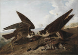 约翰·詹姆斯·奥杜邦1827年-百富勤猎鹰-鸭-鹰-艺术印刷精美的艺术复制品-墙-艺术-id-aug6o1k7m