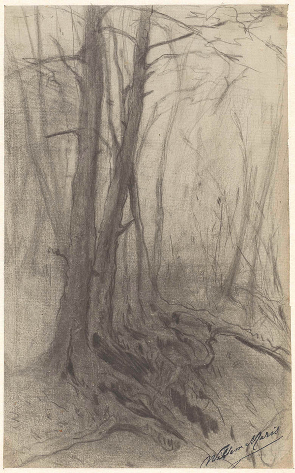 willem-maris-1854-trees-in-a-forest-art-print-fine-art-reproduction-wall-art-id-av0bcv38t