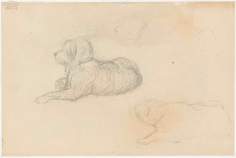 jozef-israels-1834-two-studies-of-a-dog-art-print-fine-art-reproduction-wall-art-id-av17u1e7e