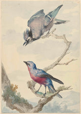 Aert-schouman-1760-to-fugler-en-blå-Jay-og-Tanagra-art-print-fine-art-gjengivelse-vegg-art-id-av8ue9igj