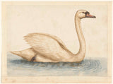 neznámy-1560-Swan-art-print-fine-art-reprodukčnej-wall-art-id-avcgup05d
