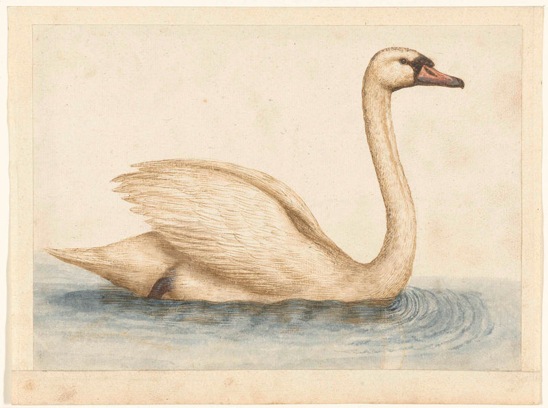 unknown-1560-swan-art-print-fine-art-reproduction-wall-art-id-avcgup05d