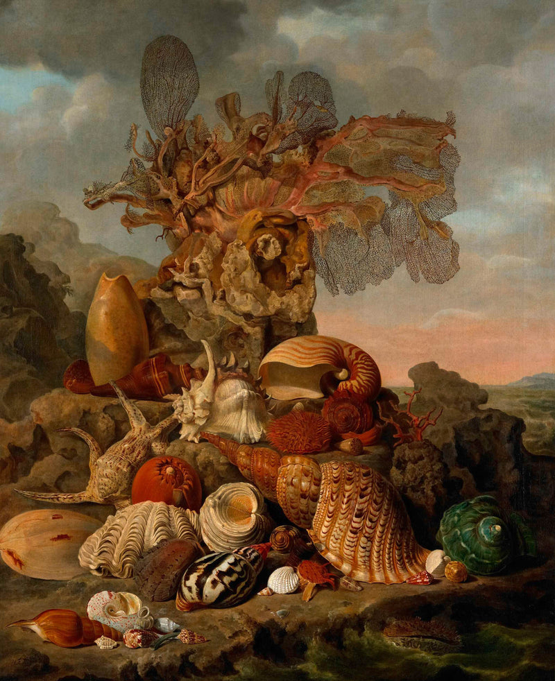 henricus-franciscus-wiertz-1809-shells-and-marine-plants-art-print-fine-art-reproduction-wall-art-id-avk1iwmj8