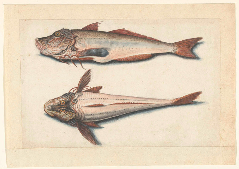 unknown-1560-rode-poon-art-print-fine-art-reproduction-wall-art-id-avnxmzsfn