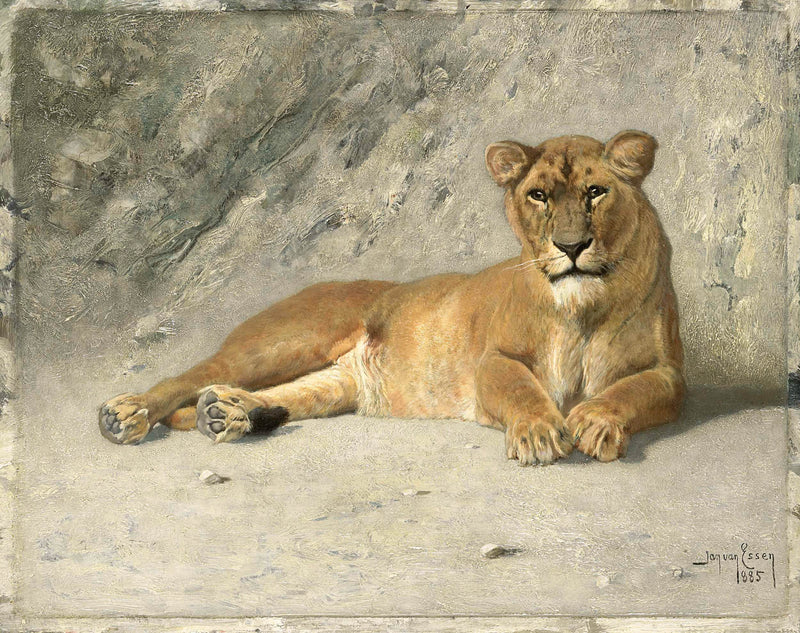 jan-van-essen-1885-lioness-resting-art-print-fine-art-reproduction-wall-art-id-avpph28j0
