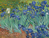 Vincent-van-Gogh-1889-íriszek-art-print-fine-art-reprodukció fal-art-id-aw9kux6x3