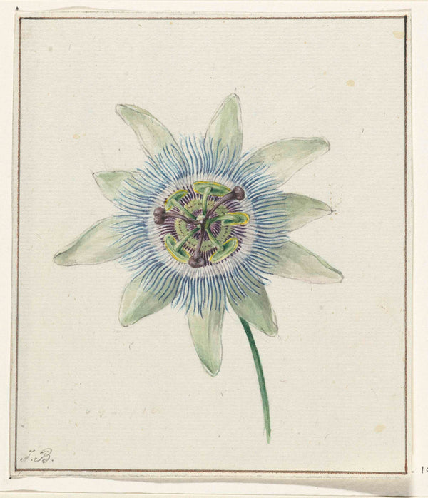 jean-bernard-1825-passion-flower-art-print-fine-art-reproduction-wall-art-id-awbo2d7j5