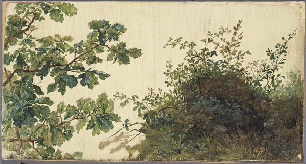 kilian-zoll-study-of-vegetation-art-print-fine-art-reproduction-wall-art-id-awx9doh38