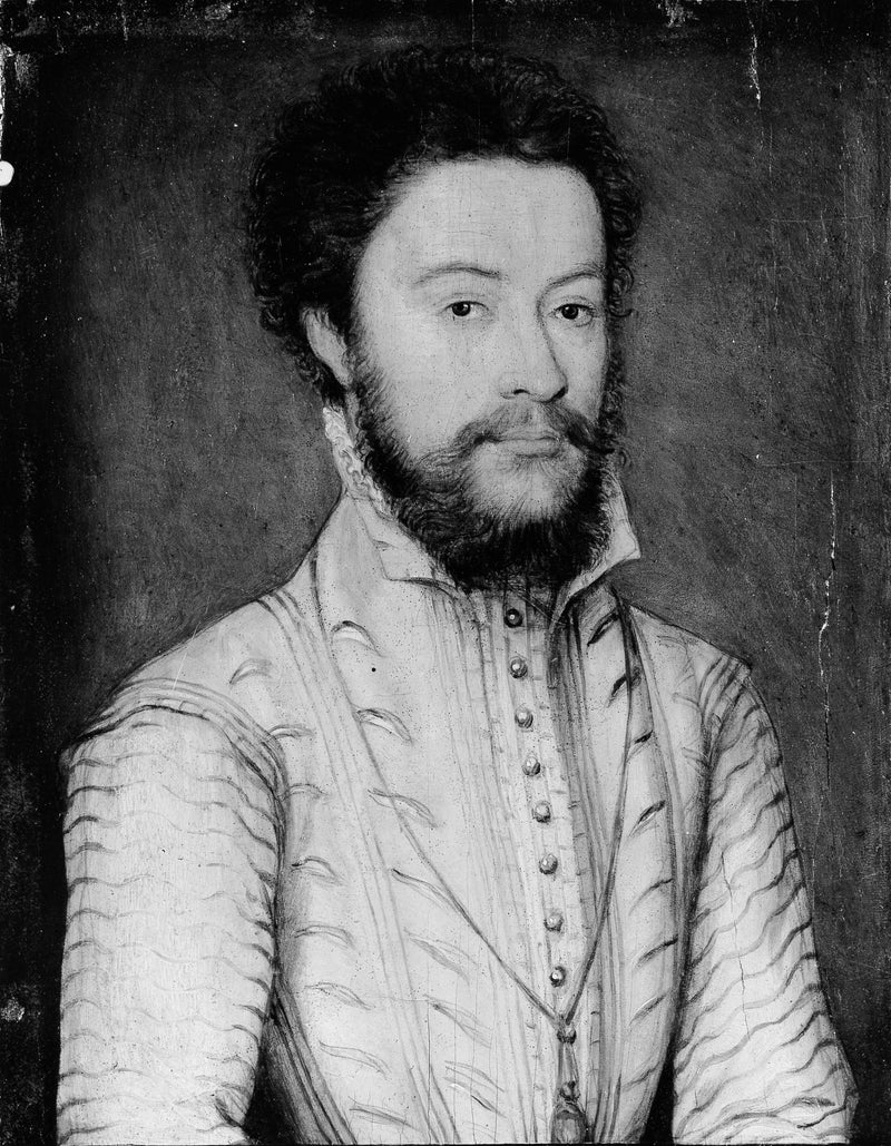 corneille-de-lyon-portrait-of-a-bearded-man-in-white-art-print-fine-art-reproduction-wall-art-id-axh1hhp7z