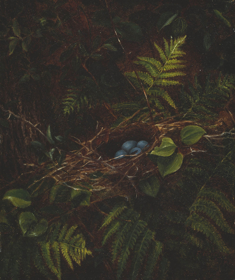 fidelia-bridges-1863-birds-nest-and-ferns-art-print-fine-art-reproduction-wall-art-id-axofx4f0k