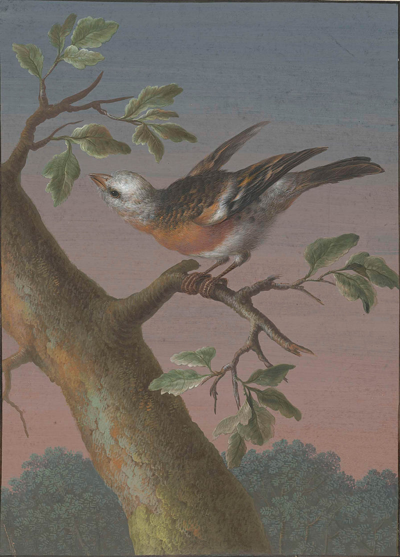 barbara-regina-dietzsch-1716-snow-bunting-art-print-fine-art-reproduction-wall-art-id-axy23ig4b