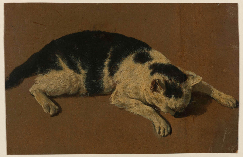 unknown-1646-cat-lying-with-its-head-between-the-front-legs-art-print-fine-art-reproduction-wall-art-id-ay6qj4o8t