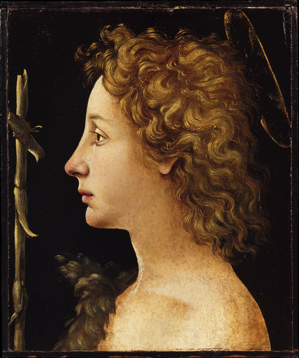 piero-di-cosimo-1480-the-young-saint-john-the-baptist-art-print-fine-art-reproduction-wall-art-id-ayg997292