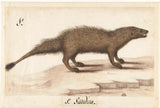chưa biết-1560-Ai Cập-mongoose-nghệ thuật-in-mỹ-nghệ-sinh sản-tường-nghệ thuật-id-aytcnabjg