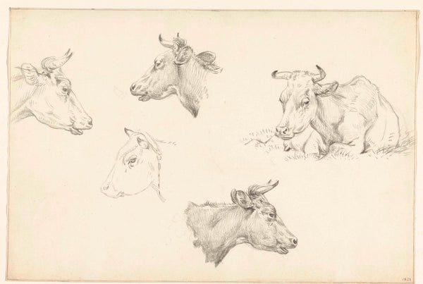 jean-bernard-1821-four-studies-of-the-head-of-a-cow-and-a-cow-lying-art-print-fine-art-reproduction-wall-art-id-ayz82rfzm