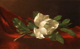 martin-johnson-heade-magnolija-art-print-likovna-reprodukcija-wall-art-id-az26ahul5