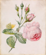 onbekend-1840-pienk-roos-en-geel-vlinder-kuns-druk-fyn-kuns-reproduksie-muurkuns-id-az79kekr5