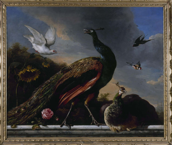 melchior-de-hondecoeter-1681-peafowl-male-and-female-art-print-fine-art-reproduction-wall-art