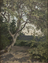 anna-nordlander-a-tree-study-art-print-reprodukcja-dzieł sztuki-wall-art-id-azvpf8oue